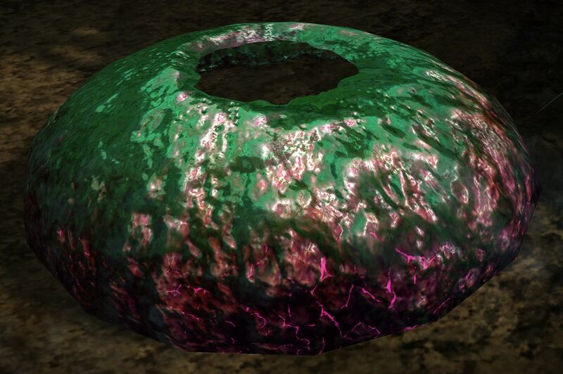 File:Poisonous Urchin.jpg