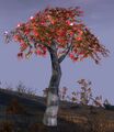 Thumbnail for version as of 15:42, 20 April 2025