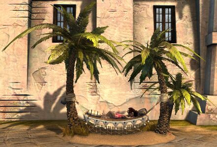 Restful Hammock Chair asura female.jpg