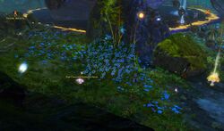 Savior of the Gwyldell 4 location.jpg