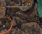 Skyscale Egg 9 map.jpg