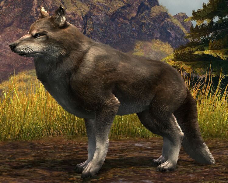 File:Timber Wolf.jpg