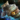 Ward Knight's Shoulders.png