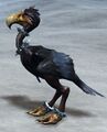 Black Moa.jpg