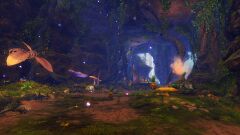 Choya Conclave 2.jpg