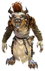 Cook's Outfit