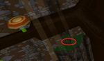 Dark Woods dig spot 9.jpg