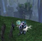 Fantastic Flying Foxes 11 location.jpg