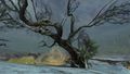 Thumbnail for version as of 07:45, 15 October 2017