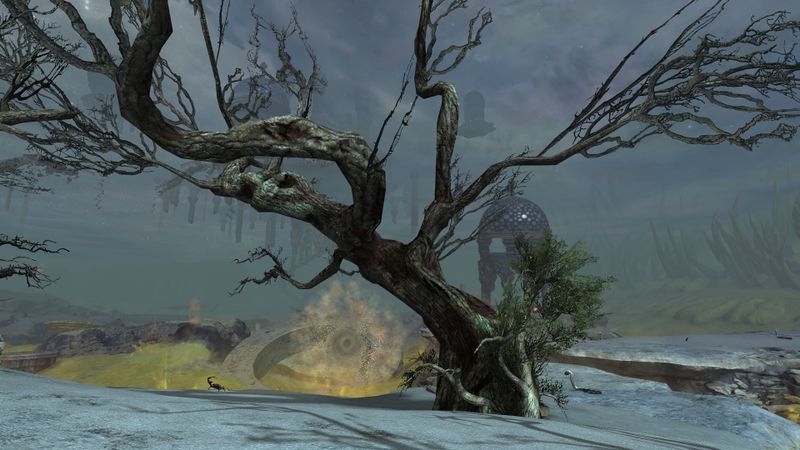 File:Gnarled Tree.jpg