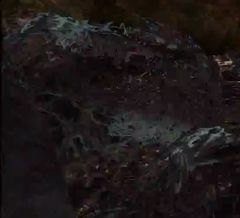 Karka Webbing.jpg