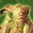 Legendary Centaur Stance.png