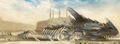 Thumbnail for version as of 00:46, 3 February 2022