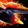 Mini Altosius the Flame Raven.png
