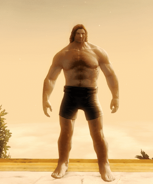File:NornMaleheroic.gif
