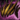 Orchid Helm.png