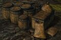 Thumbnail for version as of 23:26, 14 July 2025