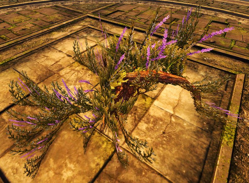 File:Tree Bush Transformation.jpg