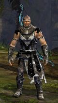 Vigil norn male light 2.jpg