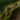Zhaitan's Persuasion.png