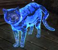 Astral Cat.jpg