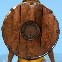 Basic Shield.jpg