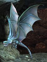 Bat (NPC).jpg