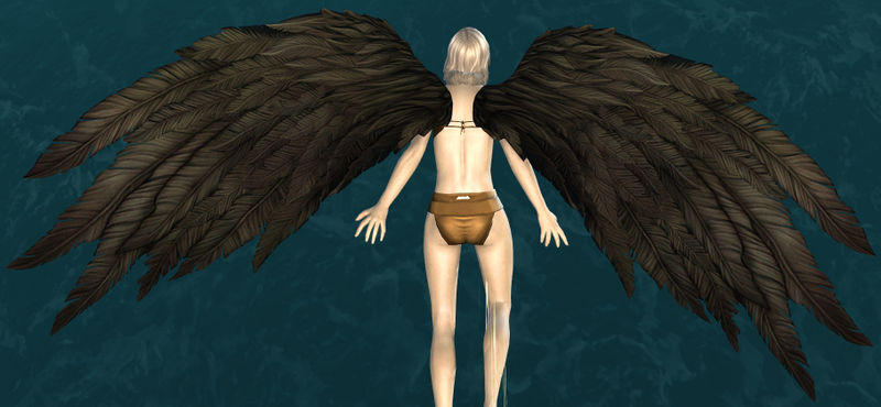 File:Black Feather Wings Glider.jpg