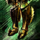 Bladed Greaves.png