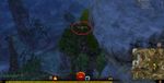 Carrot Collector 26 map.jpg
