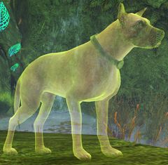 Dog (Fighting the Nightmare).jpg