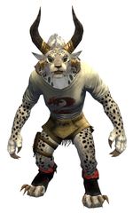 Dragon Emblem Clothing Outfit