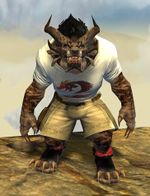 Dragon Emblem Clothing Outfit