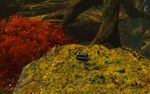 Eternity Third Inquest Cache.jpg