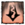 Expert Examination.png