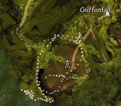 Hidden Amphibian.jpg