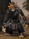 Kyra Sharptracker.jpg
