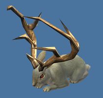 Mini Jack-a-lop.jpg