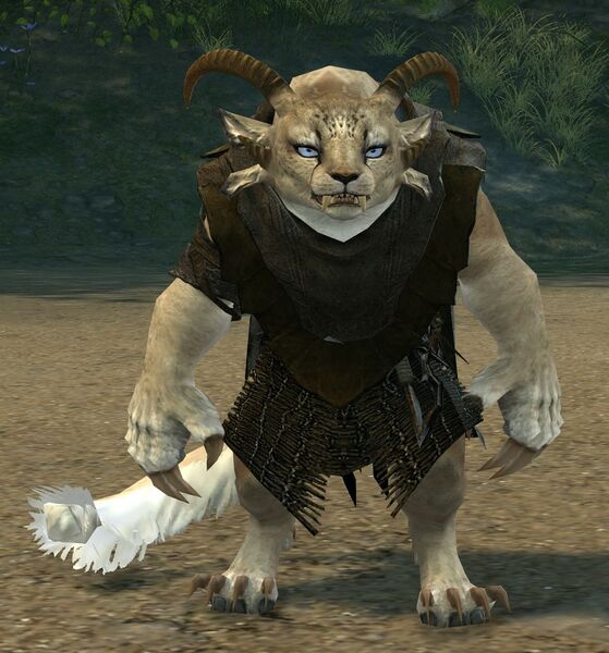 File:Olmakhan Cub 3.jpg
