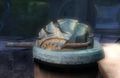 Thumbnail for version as of 02:04, 1 August 2016
