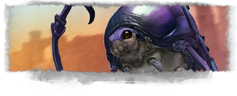 Roller Beetle banner.png