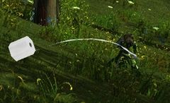 Thrown Toilet Paper.jpg