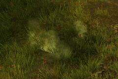 Trace of Wisp Magic.jpg