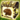 Veteran Quintly the Brown Tiger Loot Box