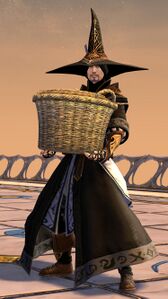 Astral Ward Protector human male 5 (basket).jpg