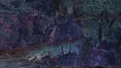 Bakestone Cavern.jpg