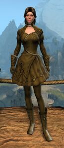 Appearance on light armor.
