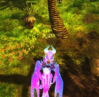 Faded Grimoire location.jpg