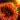 Fire Orchid Garland.png