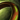 Healer's Besieger Ring